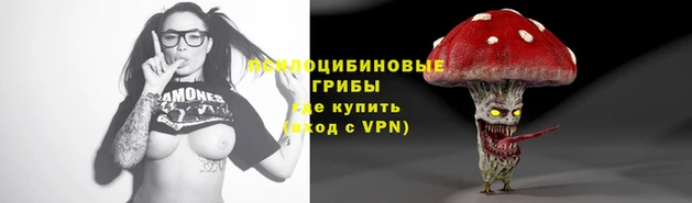 амф Алзамай