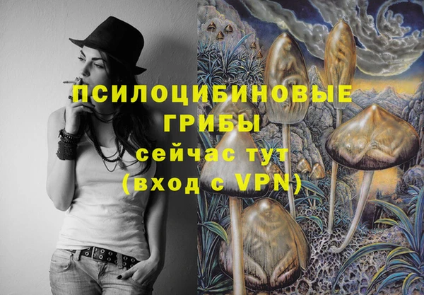 амф Алзамай