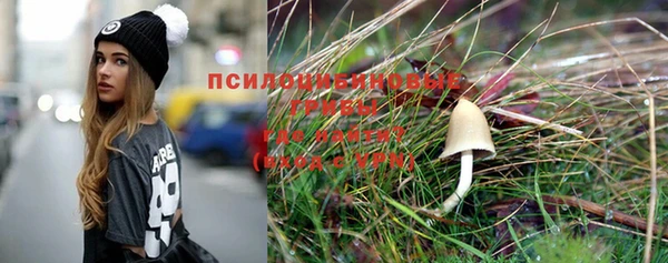 экстази Алексин
