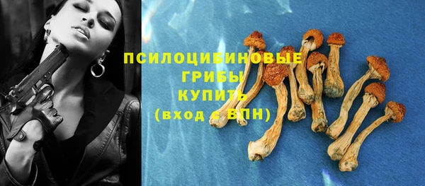 экстази Алексин