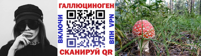 наркота  Арамиль  мега ссылки  Псилоцибиновые грибы мухоморы 